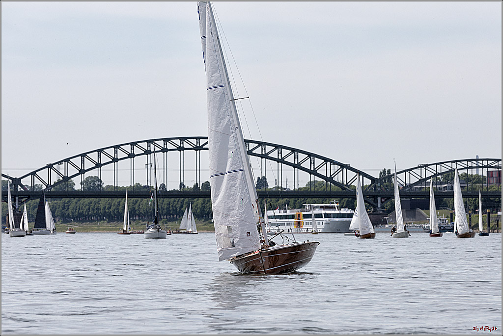 100 Jahre Rheinwoche 2022 - 1. Wettfahrt Porz - Hitdorf, 03.06.2022,